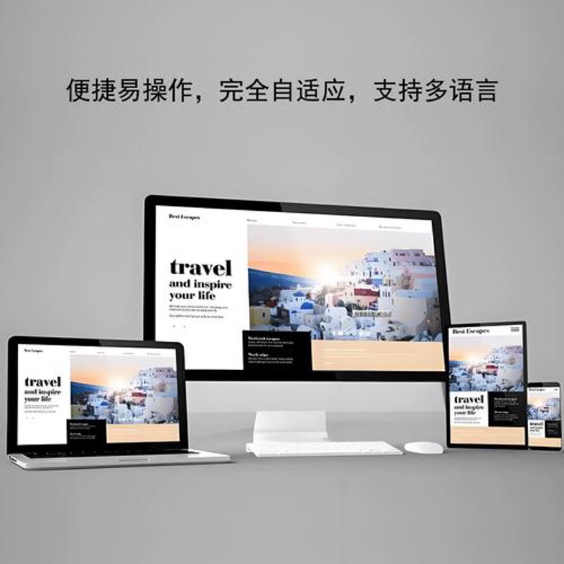 洪湖网站建设:引领城市新风貌